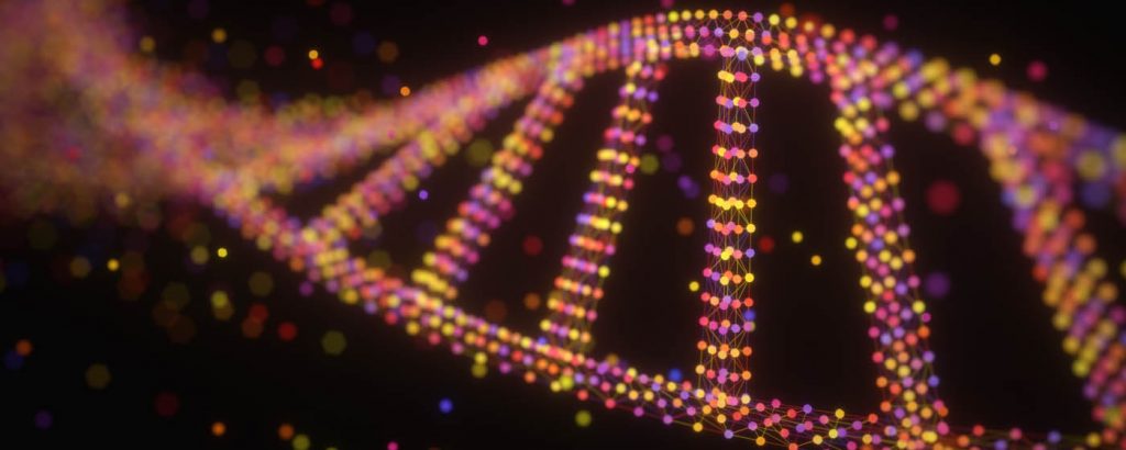 DNA Molecule Structure